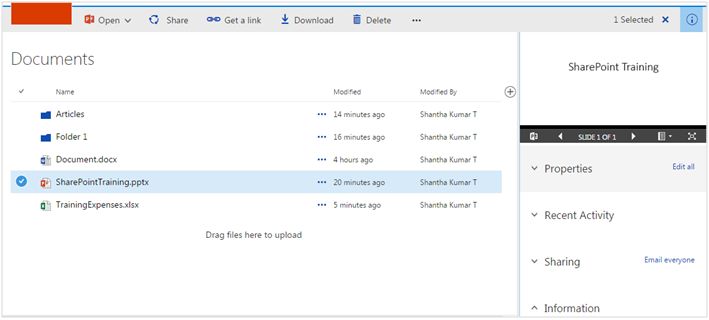 Details Pane for the selected file